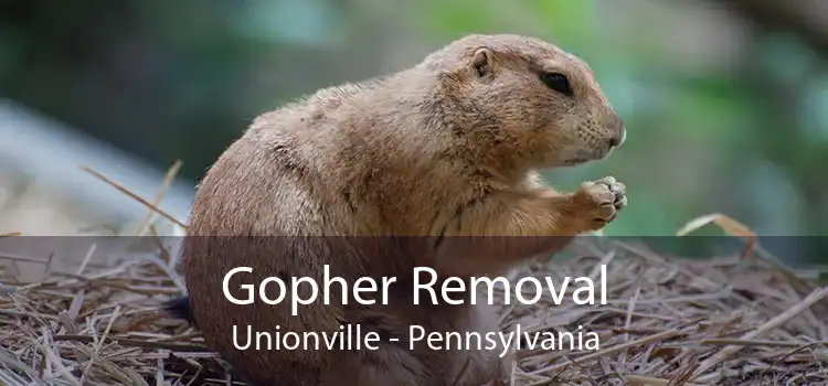 Gopher Removal Unionville - Pennsylvania