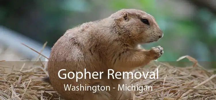 Gopher Removal Washington - Michigan