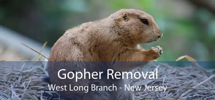 Gopher Removal West Long Branch - New Jersey