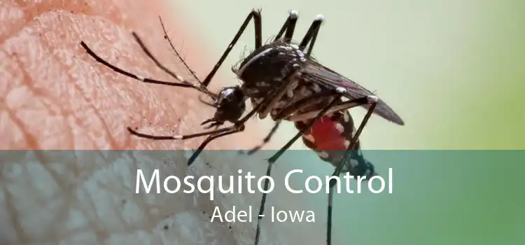 Mosquito Control Adel - Iowa