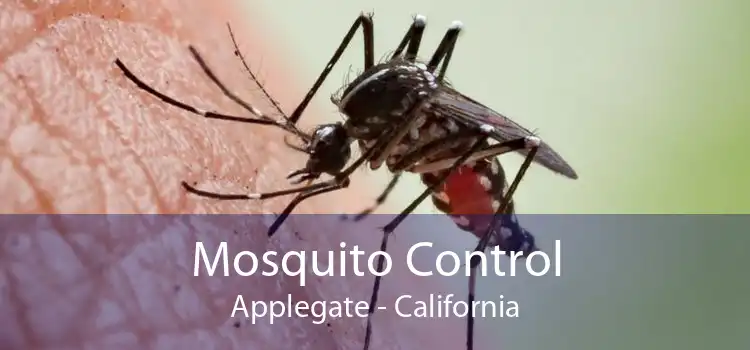 Mosquito Control Applegate - California