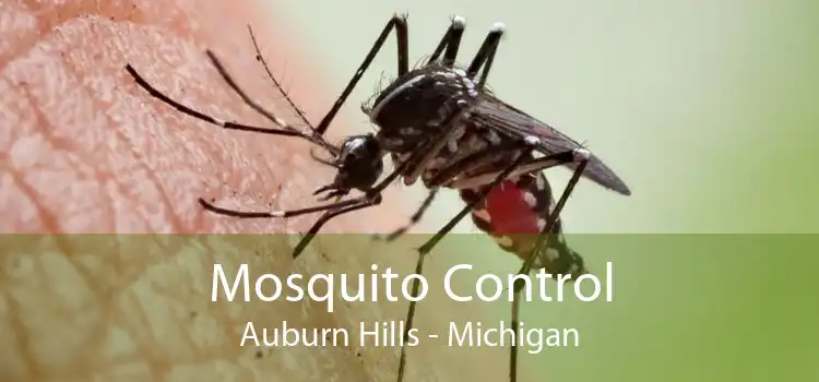 Mosquito Control Auburn Hills - Michigan