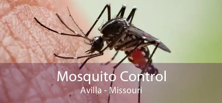 Mosquito Control Avilla - Missouri