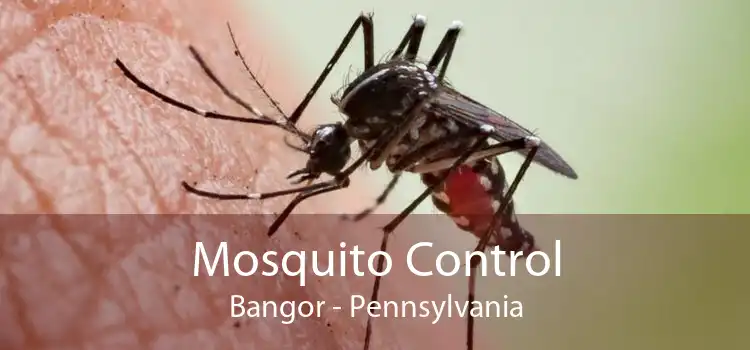 Mosquito Control Bangor - Pennsylvania