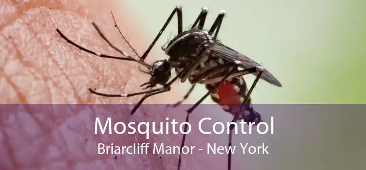 Mosquito Control Briarcliff Manor - New York