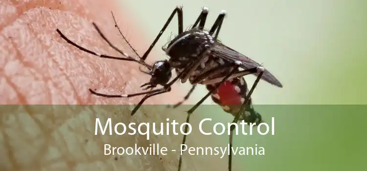 Mosquito Control Brookville - Pennsylvania