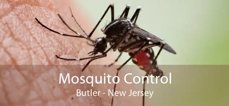 Mosquito Control Butler - New Jersey