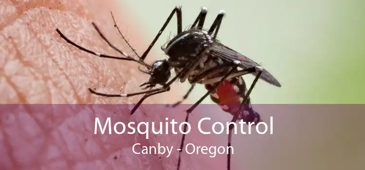 Mosquito Control Canby - Oregon