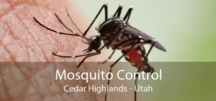 Mosquito Control Cedar Highlands - Utah