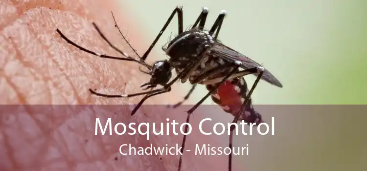 Mosquito Control Chadwick - Missouri