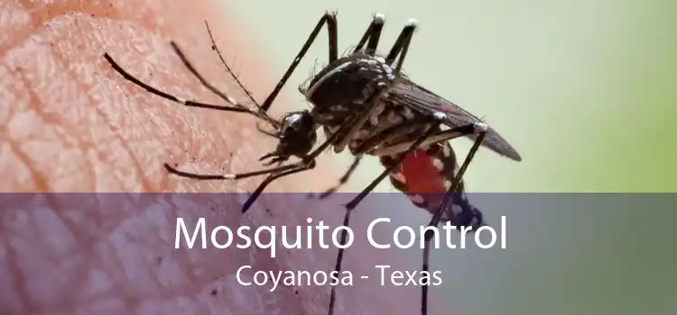 Mosquito Control Coyanosa - Texas