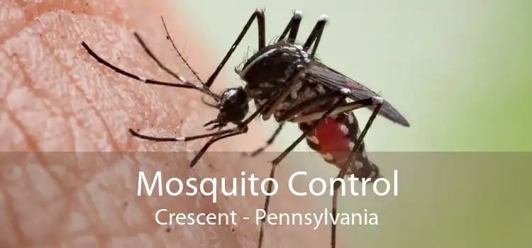 Mosquito Control Crescent - Pennsylvania