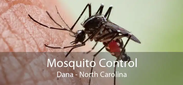 Mosquito Control Dana - North Carolina