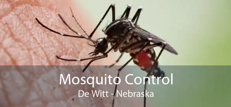 Mosquito Control De Witt - Nebraska