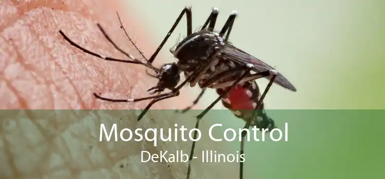 Mosquito Control DeKalb - Illinois
