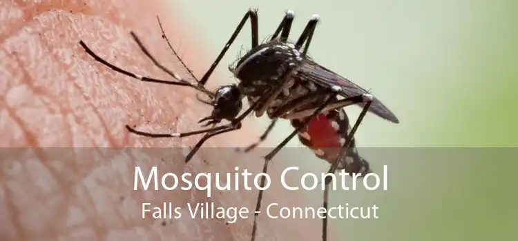 Mosquito Control Falls Village - Connecticut