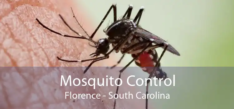 Mosquito Control Florence - South Carolina