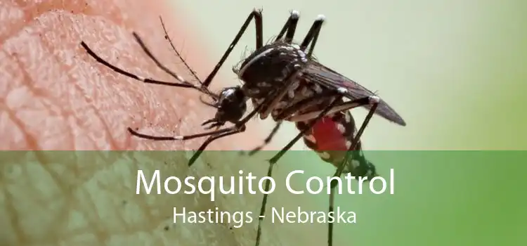 Mosquito Control Hastings - Nebraska