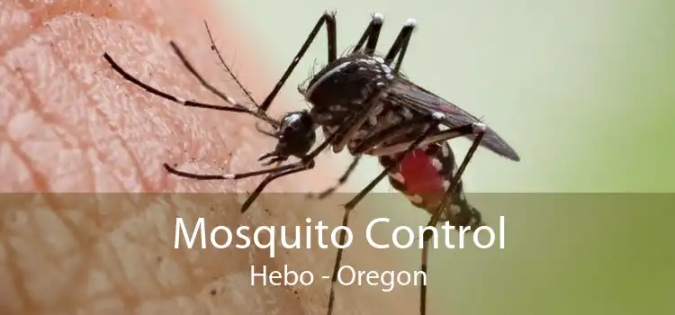 Mosquito Control Hebo - Oregon