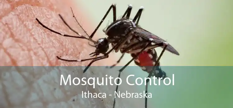 Mosquito Control Ithaca - Nebraska