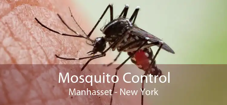Mosquito Control Manhasset - New York
