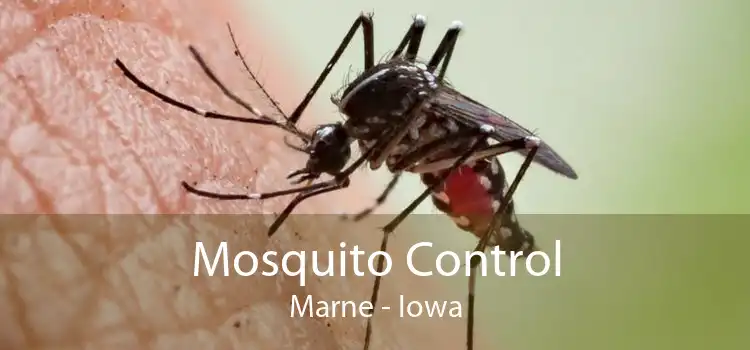 Mosquito Control Marne - Iowa