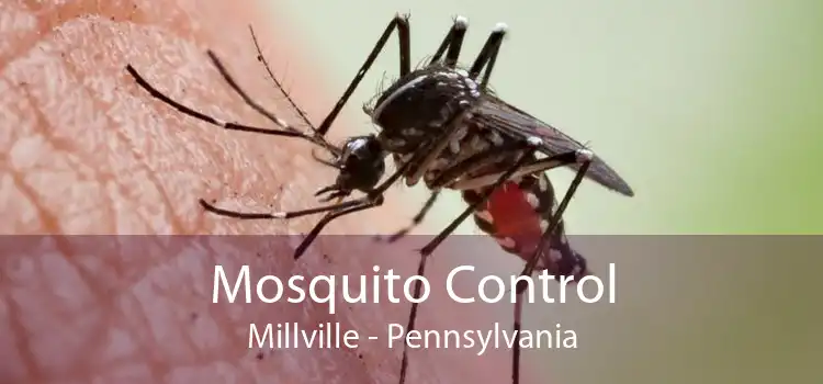 Mosquito Control Millville - Pennsylvania