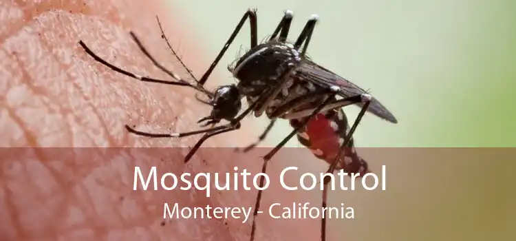 Mosquito Control Monterey - California