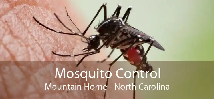Mosquito Control Mountain Home - North Carolina
