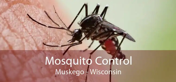 Mosquito Control Muskego - Wisconsin