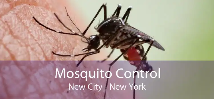 Mosquito Control New City - New York