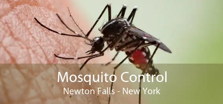 Mosquito Control Newton Falls - New York