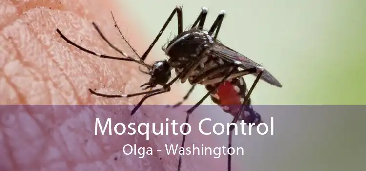 Mosquito Control Olga - Washington