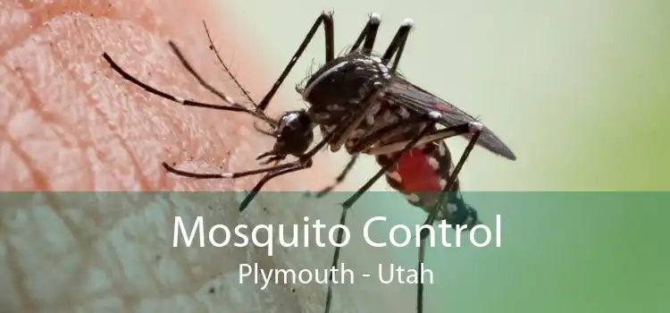 Mosquito Control Plymouth - Utah