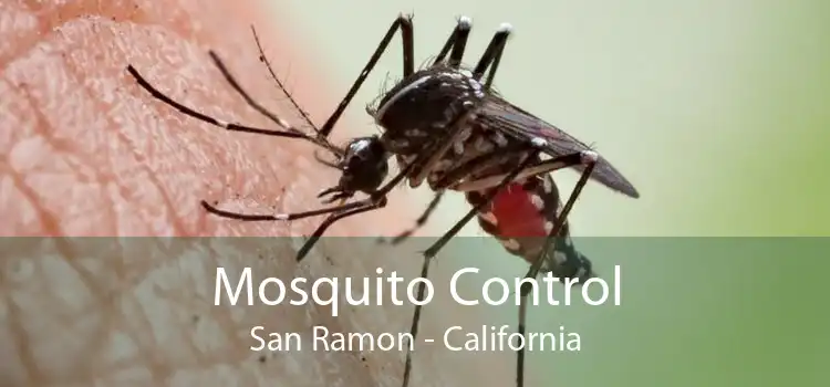 Mosquito Control San Ramon - California
