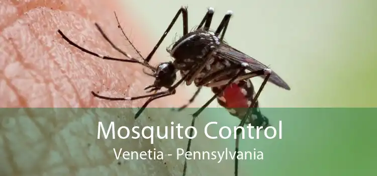Mosquito Control Venetia - Pennsylvania