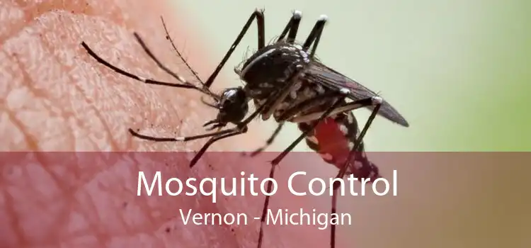 Mosquito Control Vernon - Michigan