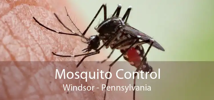 Mosquito Control Windsor - Pennsylvania