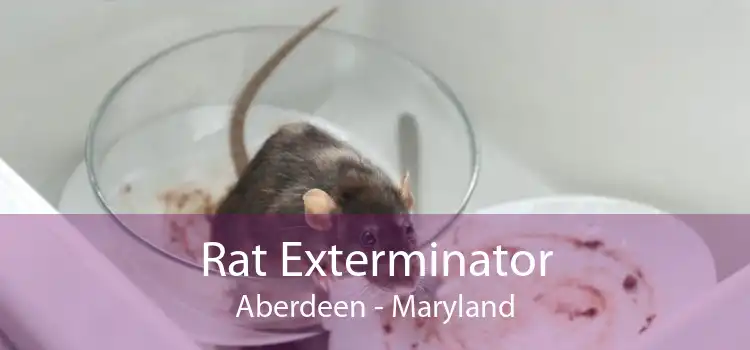 Rat Exterminator Aberdeen - Maryland