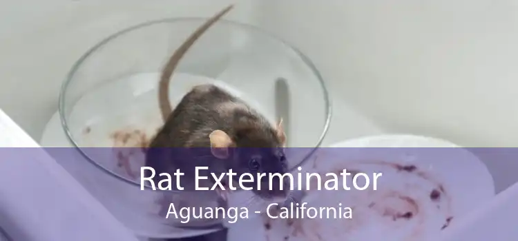 Rat Exterminator Aguanga - California