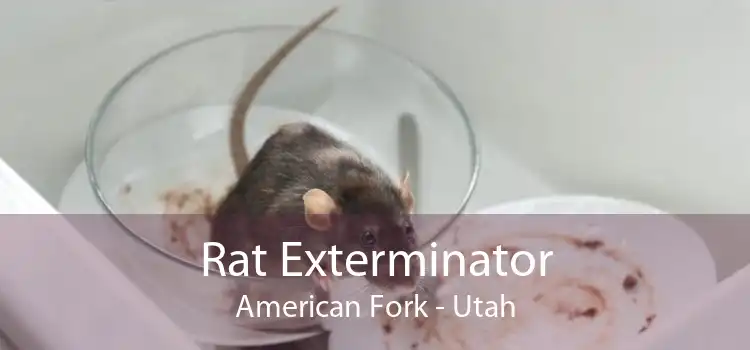 Rat Exterminator American Fork - Utah