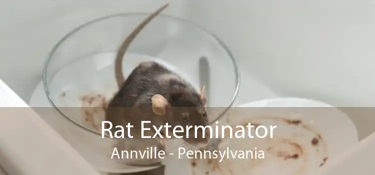 Rat Exterminator Annville - Pennsylvania