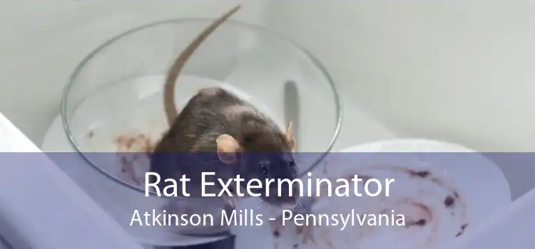 Rat Exterminator Atkinson Mills - Pennsylvania