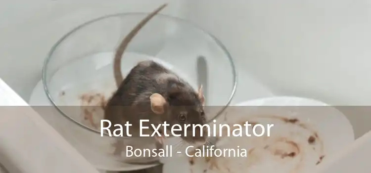 Rat Exterminator Bonsall - California