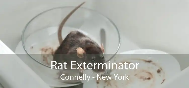 Rat Exterminator Connelly - New York