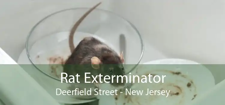 Rat Exterminator Deerfield Street - New Jersey