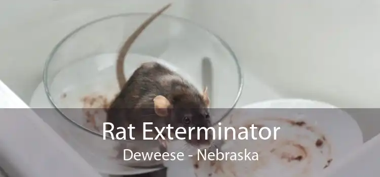 Rat Exterminator Deweese - Nebraska