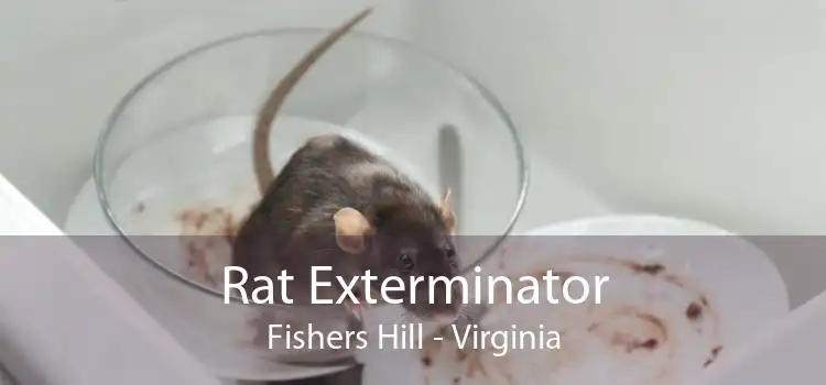Rat Exterminator Fishers Hill - Virginia