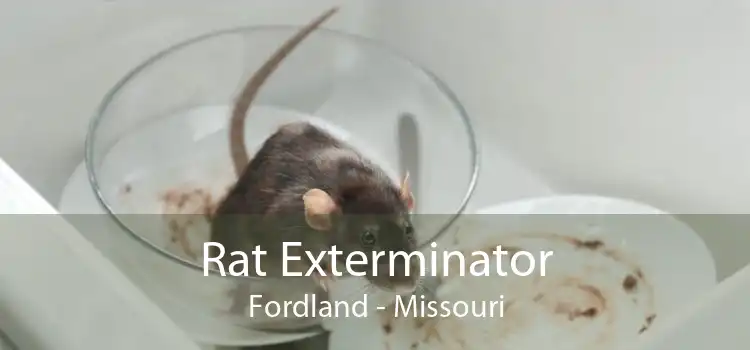 Rat Exterminator Fordland - Missouri