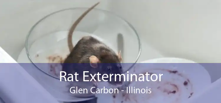 Rat Exterminator Glen Carbon - Illinois